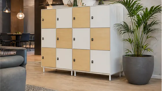 PIN code lockers — smart lockers in a modern Dutch workplace, 2026 guide